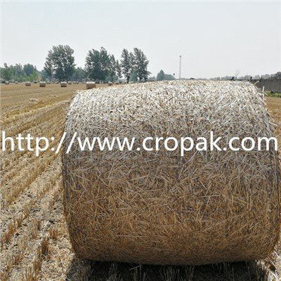 Περιτύλιγμα διχτυού PE Bale